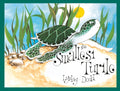 Smallest Turtle 2