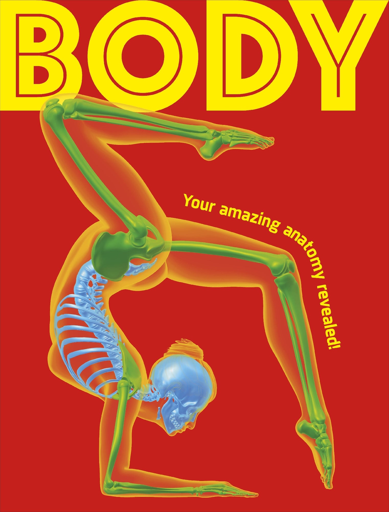 Body