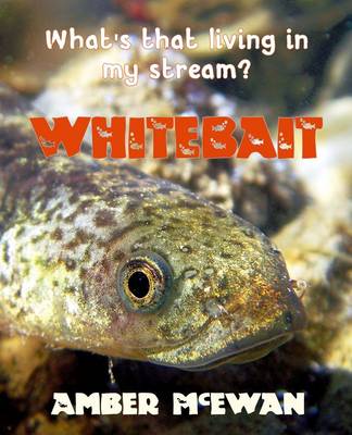 Whitebait (What's That Living in My Stream?)