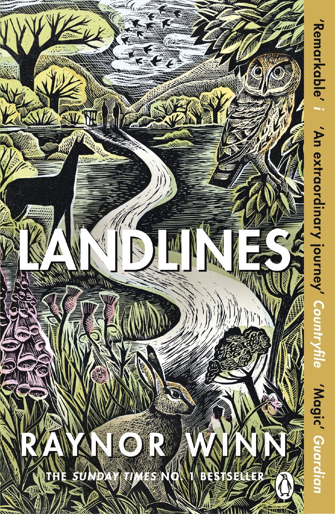 Landlines: The remarkable story of a thousand-mile journey across Britain from the million-copy bestselling author of The Salt Path