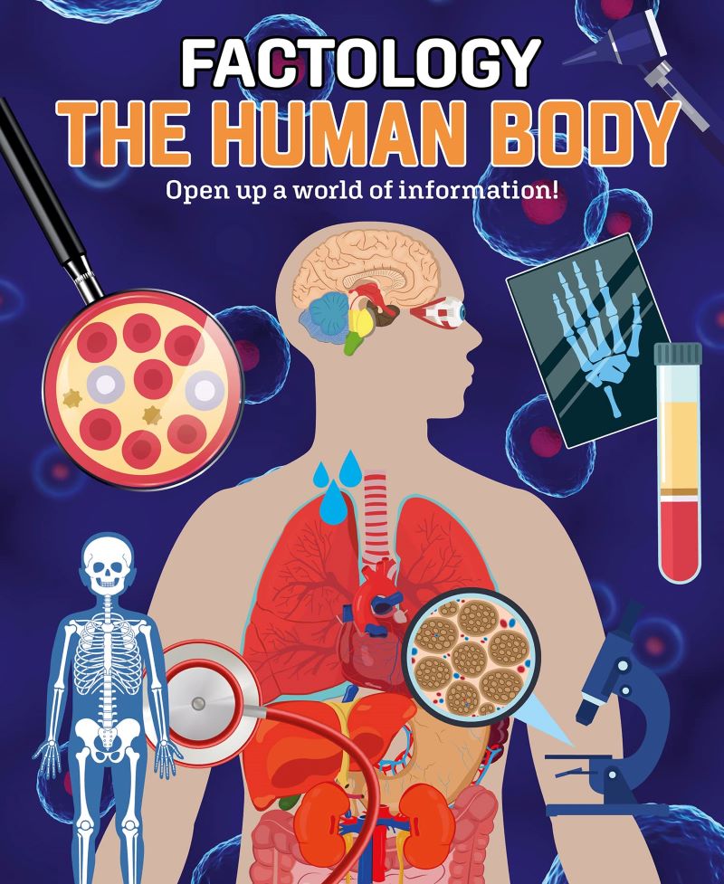 Factology: The Human Body