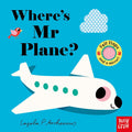 Where's Mr Plane? (Felt Flaps)