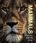 Age of Mammals: Intelligence, Behaviour, Future